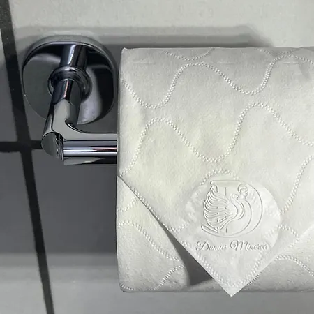 Apartment Domus Minerva